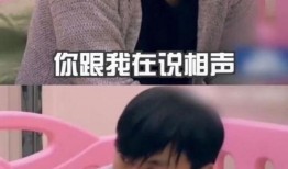 娱乐圈爆料秦昊,娱乐圈新恋情引发热议